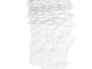 Epidermis Cross Section Model 3D