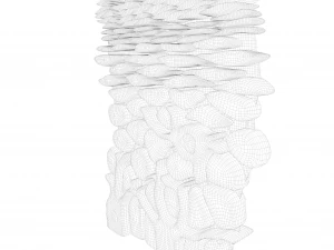 Epidermis Cross Section 3D Model