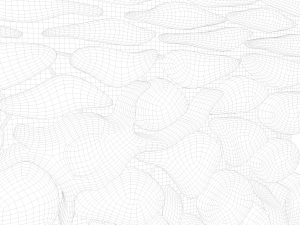 Epidermis Cross Section Model 3D