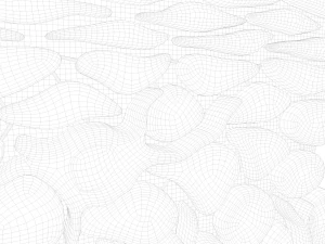 Epidermis Cross Section 3D Model