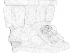 Struttura degli strati dell'anatomia fogliare Modello 3D