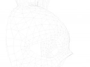 Rabbit Bunny Mask 3D Model