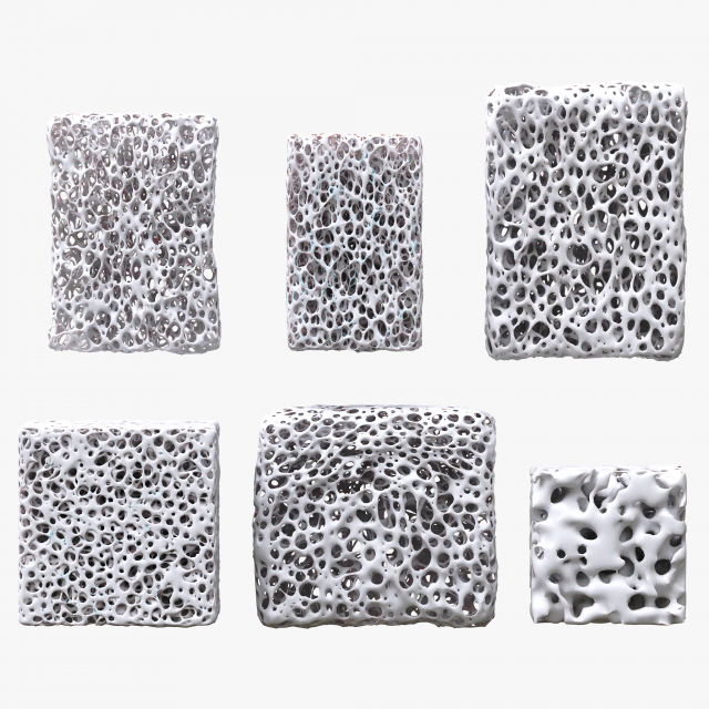 Bone Sponge Structure Bundle 3D Model .c4d .max .obj .3ds .fbx .stl .blend 