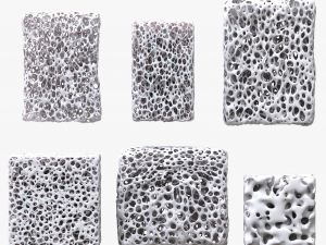 Bone Sponge Structure Bundle 3D Model