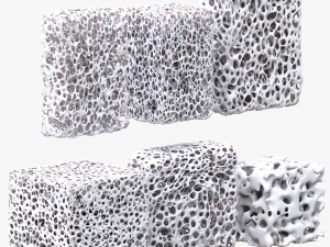 Bone Sponge Structure Bundle 3D Model