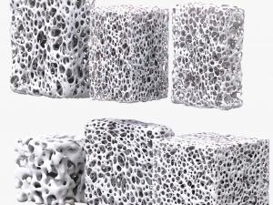 Bone Sponge Structure Bundle 3D Model