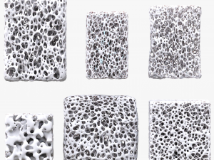 Bone Sponge Structure Bundle 3D Model