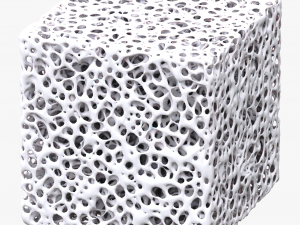 Bone Sponge Structure Bundle 3D Model