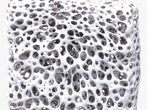 Bone Sponge Structure Bundle 3D Model