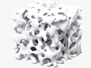 Bone Sponge Structure Bundle 3D Model
