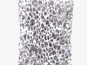 Bone Sponge Structure Bundle 3D Model