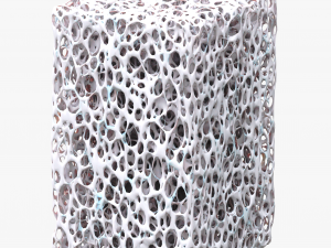 Bone Sponge Structure Bundle 3D Model