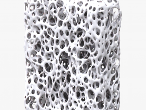 Bone Sponge Structure Bundle 3D Model