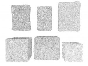 Bone Sponge Structure Bundle 3D Model