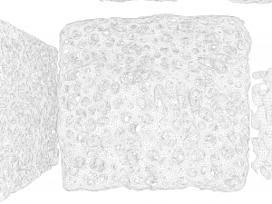 Bone Sponge Structure Bundle 3D Model