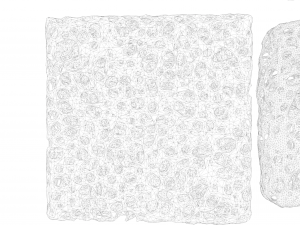 Bone Sponge Structure Bundle 3D Model