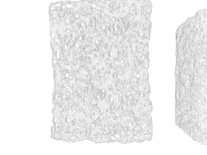 Bone Sponge Structure Bundle 3D Model
