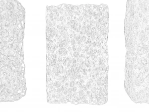 Pacchetto struttura in spugna ossea Modello 3D