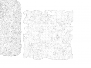 Bone Sponge Structure Bundle 3D Model
