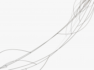 Cable Wire Web 3Dモデル