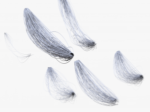 Cable Wire Web Bundle 3D Model