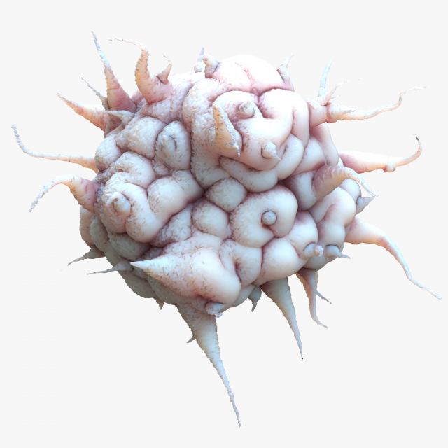 Cancer Cell Model 3D .c4d .max .obj .3ds .fbx .stl .blend 