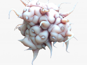 Cancer Cell Model 3D