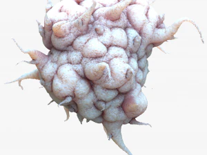 Раковая клетка 3D Модель