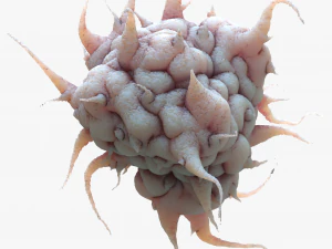 Раковая клетка 3D Модель