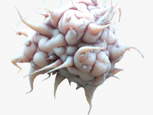 Раковая клетка 3D Модель