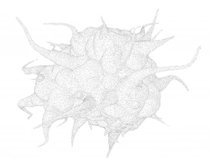 Раковая клетка 3D Модель