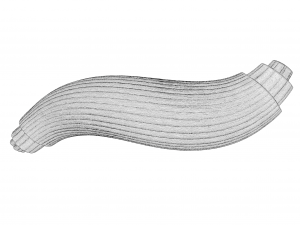 Skeletal Muscle Fiber Cross Section Anatomy 3D Model