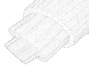 Skeletal Muscle Fiber Cross Section Anatomy 3D Model