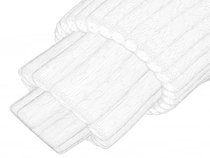 Skeletal Muscle Fiber Cross Section Anatomy 3D Model