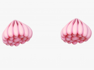 Mammary Gland Anatomy 3D 模型