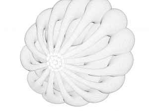 Mammary Gland Anatomy 3D 模型
