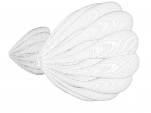 Mammary Gland Anatomy 3D 模型