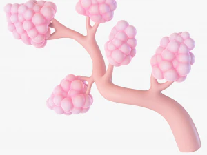 Breast Lactiferous Duct Anatomy 3D Model