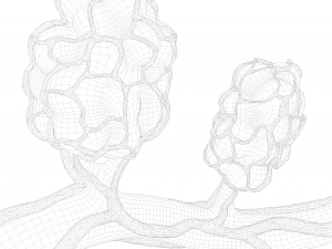 Breast Lactiferous Duct Anatomy 3D Модель