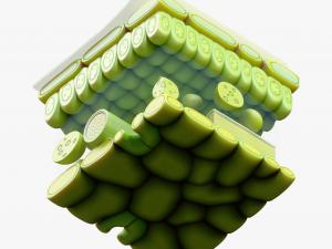 Leaf Anatomy Layers Structure 3D Model