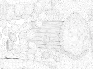 Leaf Anatomy Layers Structure Modelo 3D