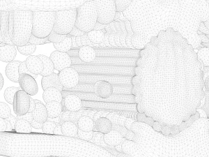葉の解剖学的層構造 3Dモデル