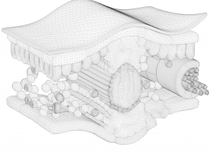 Leaf Anatomy Layers Structure Modelo 3D