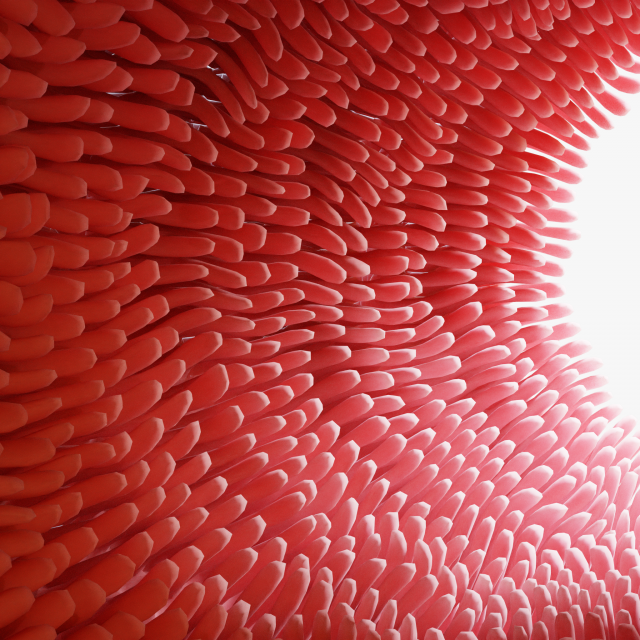 Intestinal villi Animation 3D Model .c4d .max .obj .3ds .fbx .stl .blend 