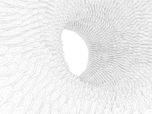 Intestinal villi Animation 3D Model