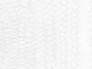 Intestinal villi Animation 3D Model