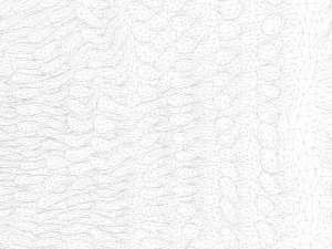 Intestinal villi Animation 3D Model