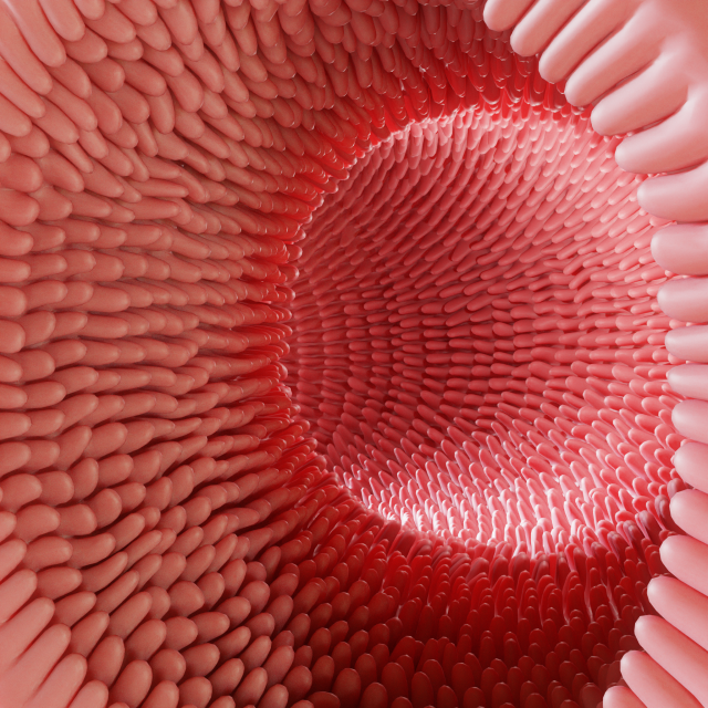 Intestinal villi Animation Modelo 3D .c4d .max .obj .3ds .fbx .stl .blend 