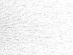Intestinal villi Animation Modelo 3D