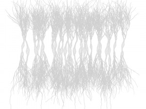 Pyramidal Neurons 3D Model
